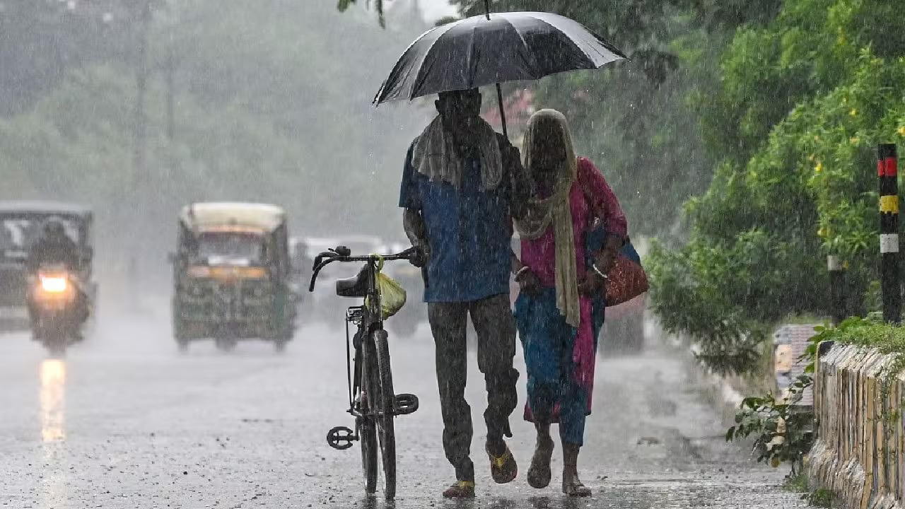 Heavy Rains