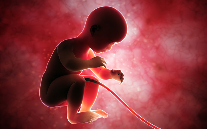 Ban Abortions