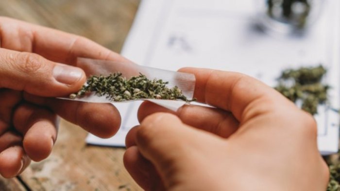 City's Biggest-Ever Ganja Haul