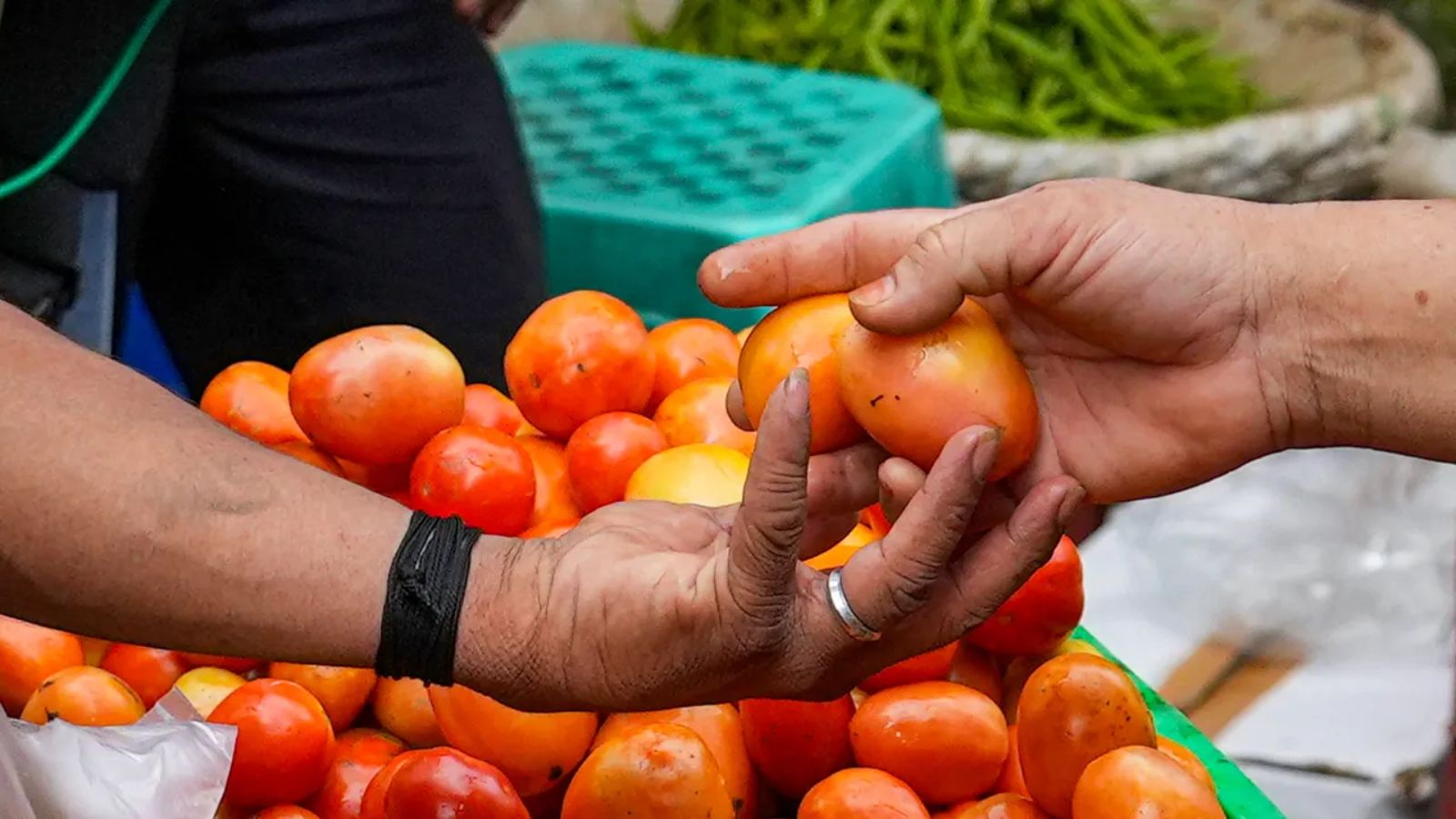 tomato sales