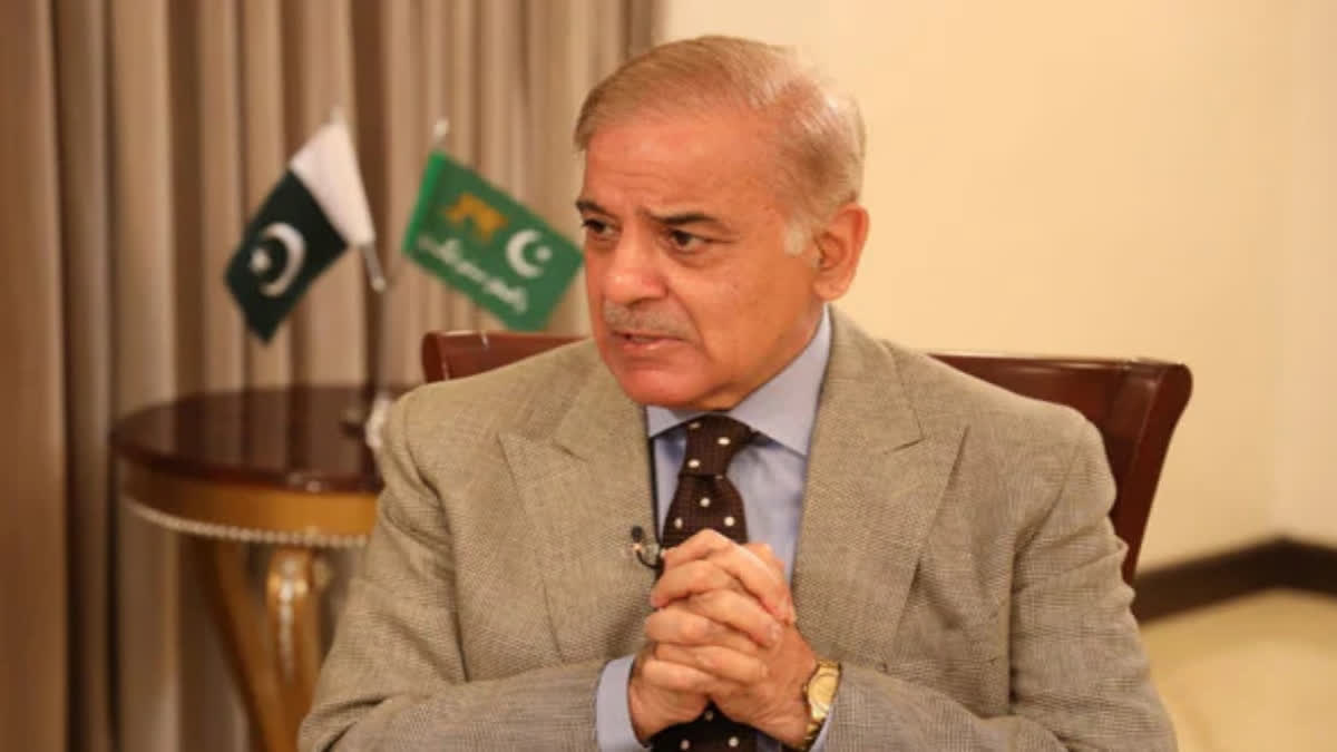 PM Shehbaz Sharif