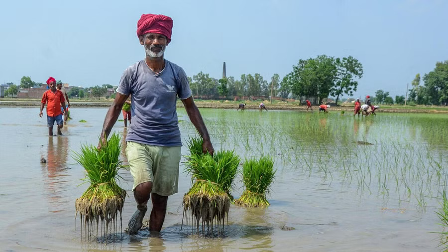 AI-based app for farmers