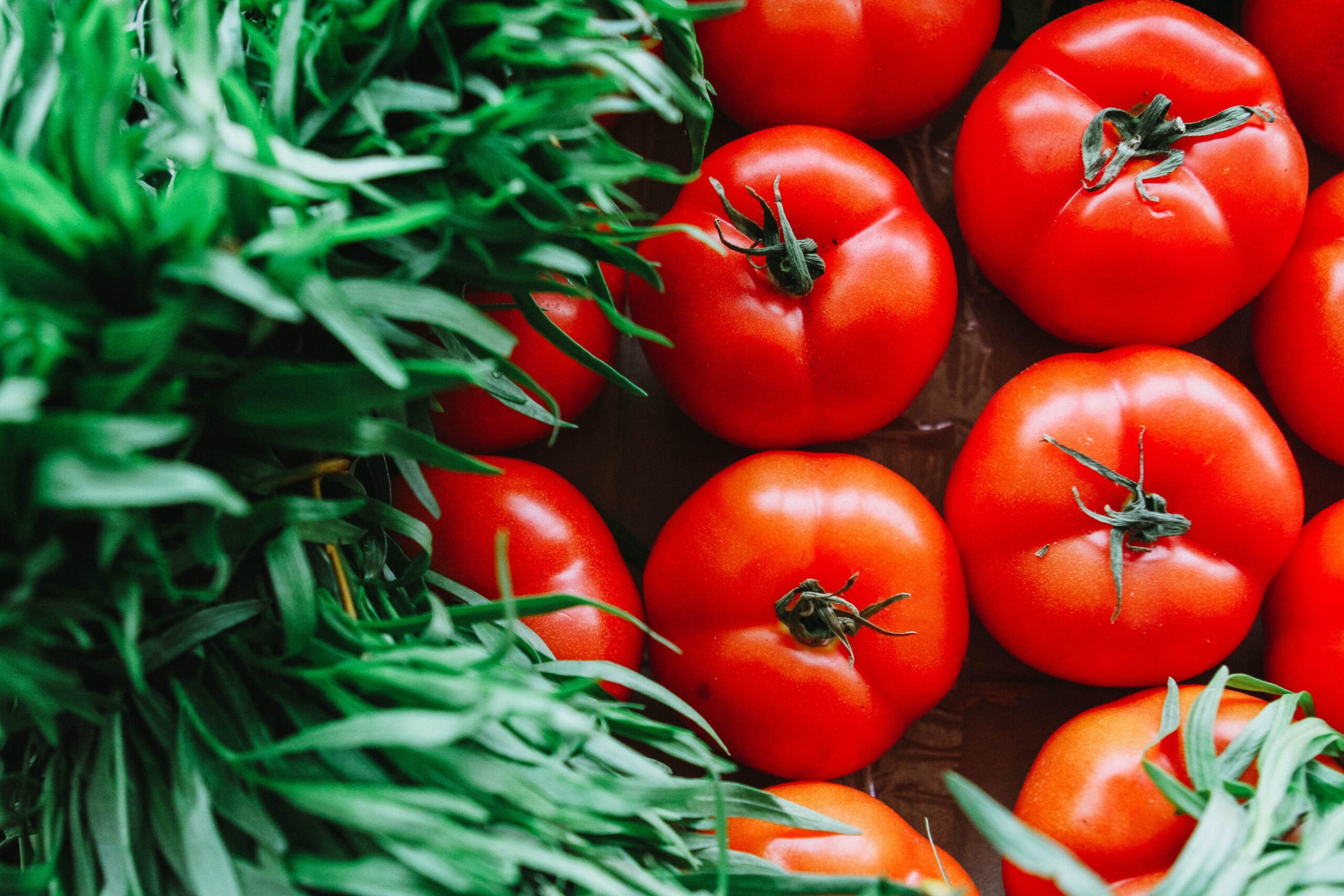 Amid Tomato Price Spike, Centre Initiates Tomato Imports from Nepal
