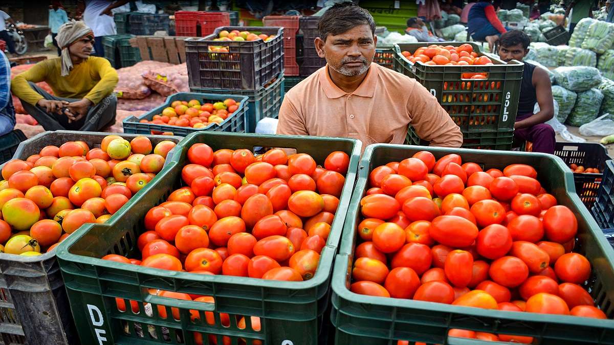 NCCF's Mega Tomato Sale: 71,500 kg Sold in Delhi Over Two-Day Event