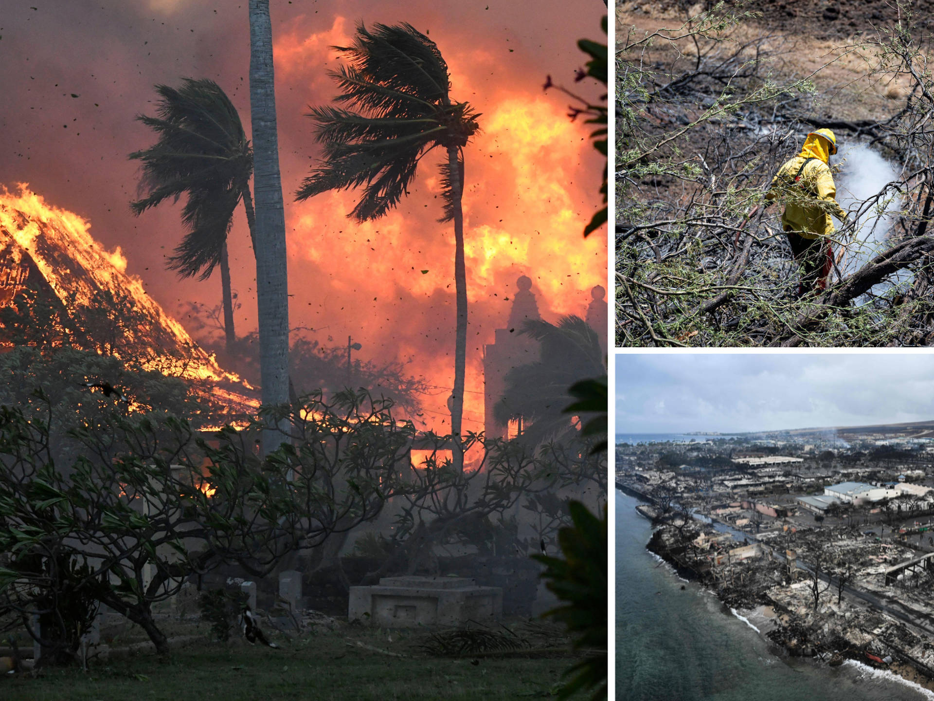 Tragedy Strikes Maui as Death Toll Climbs to 80 in Devastating Wildfires