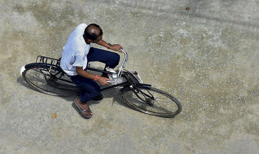 bicycles