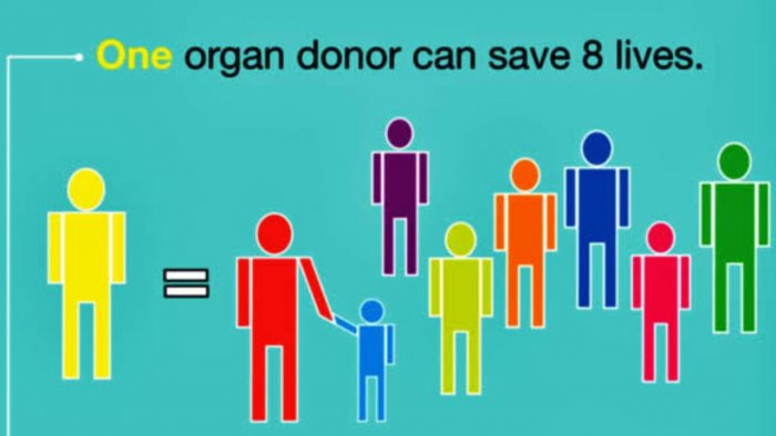 In a heartening development, Karnataka witnessed a significant rise in organ donations from brain dead individuals in 2022. According to official data, organs from 151 brain dead persons were donated, reflecting an upward trend in the state's commitment to promoting organ donation and saving lives. The data, released by the authorities, highlights the growing awareness and acceptance of organ donation in Karnataka. Families of brain dead patients have increasingly come forward to donate organs, providing hope and a new lease on life to those in need of critical medical interventions. Organ transplantation is a life-saving medical procedure that offers a second chance to patients suffering from organ failure or life-threatening conditions. The donation of organs from brain dead individuals plays a crucial role in alleviating the organ shortage and enabling recipients to lead healthier lives. Karnataka's remarkable feat in organ donation is a result of concerted efforts by the government, healthcare institutions, and non-governmental organizations to raise awareness about the importance of organ donation and dispel misconceptions surrounding the process. Authorities have been actively engaging with communities and conducting awareness campaigns to sensitize citizens about the life-saving impact of organ donation. The focus has been on debunking myths and misconceptions, encouraging individuals to discuss their willingness to be organ donors with their families. The rising number of organ donations is a testament to the compassion and generosity of families who, in the midst of their own grief, chose to donate the organs of their brain dead loved ones to save others. These selfless acts have helped transform the lives of countless recipients and their families. The success in organ donation is also attributed to the establishment of robust transplant coordination networks and the implementation of transparent organ allocation systems. These mechanisms ensure that donated organs reach the most deserving recipients based on medical urgency and compatibility. The data from 2022 reflects a significant step forward in the state's efforts to promote organ donation, but challenges persist. Authorities continue to emphasize the need for sustained awareness and education on organ donation to encourage more individuals to come forward and register as organ donors. With each donated organ having the potential to save multiple lives, the focus remains on expanding the pool of registered organ donors and reinforcing a culture of giving in Karnataka. As the state looks ahead, policymakers and healthcare professionals are determined to build on the momentum and strive for even greater strides in organ donation, ensuring that every person in need of an organ transplant gets a chance at a healthier and happier life.