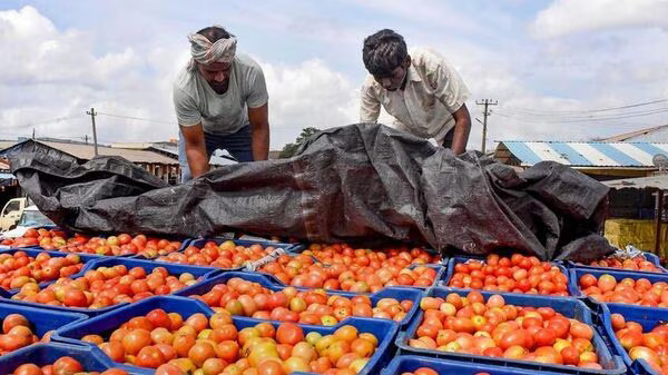 Karnataka Farmer Earns ₹40 Lakhs by Selling Tomatoes, Purchases SUV as a Testament to Success