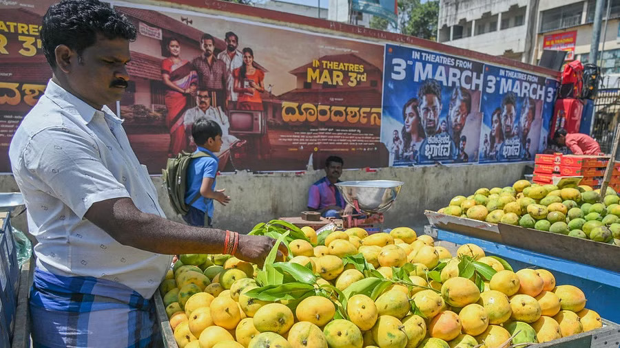 vendors