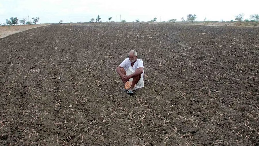 195 taluks declared drought