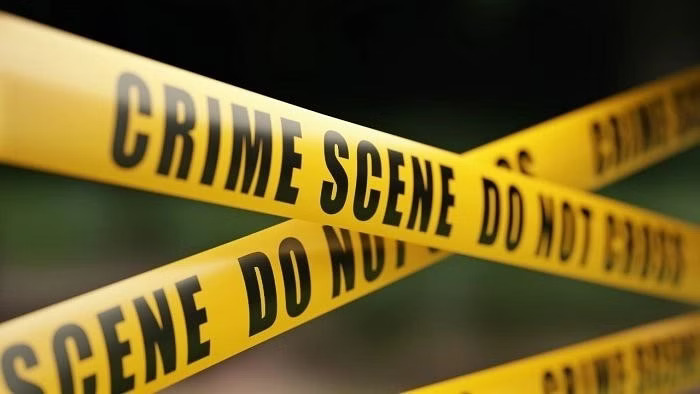 4 of a family hacked to death