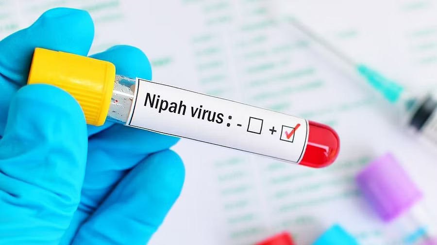 Four Nipah infected patients in Kerala have recovered says Minister