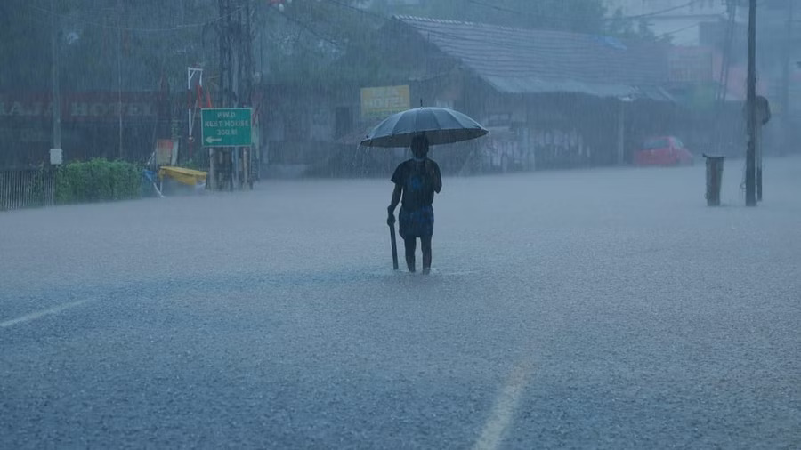 Kerala receives widespread rains