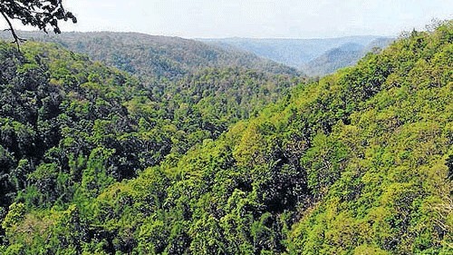 Waive penalty for forest law violations in Western Ghats