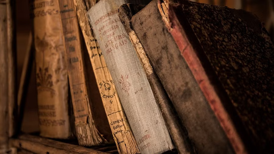 New York library book returned after 90 years