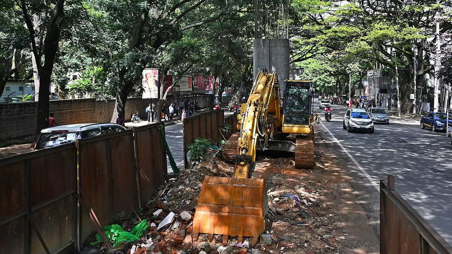 BBMP to axe 67 large trees to build Ejipura flyover