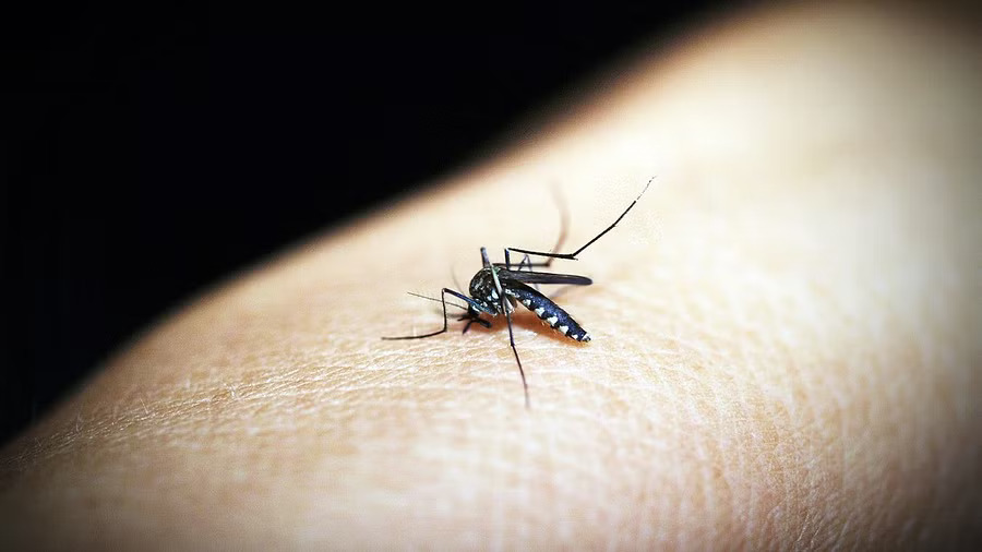 First chikungunya vaccine Ixchiq approved by US FDA