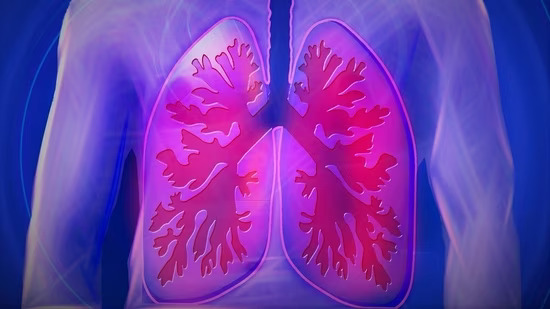 Risk of high lung cancer cases among naval veterans connected to asbesto