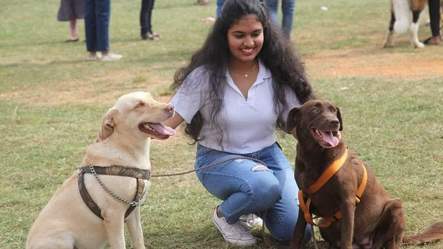 A weekend of wagging tails All India Championship Dog Show held in Bengaluru