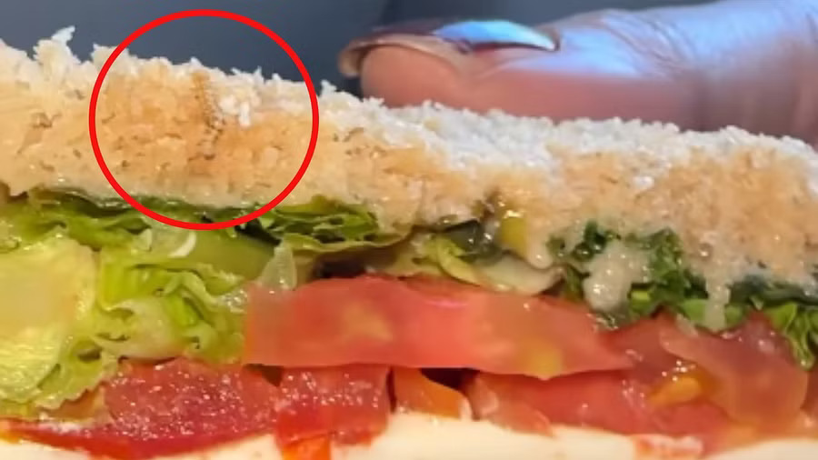 Unappetizing flight Dietician finds live worm in sandwich aboard IndiGo