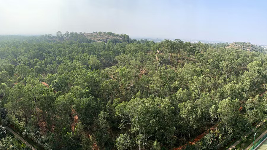 15 acres of Jarakabande Kaval forest recovered