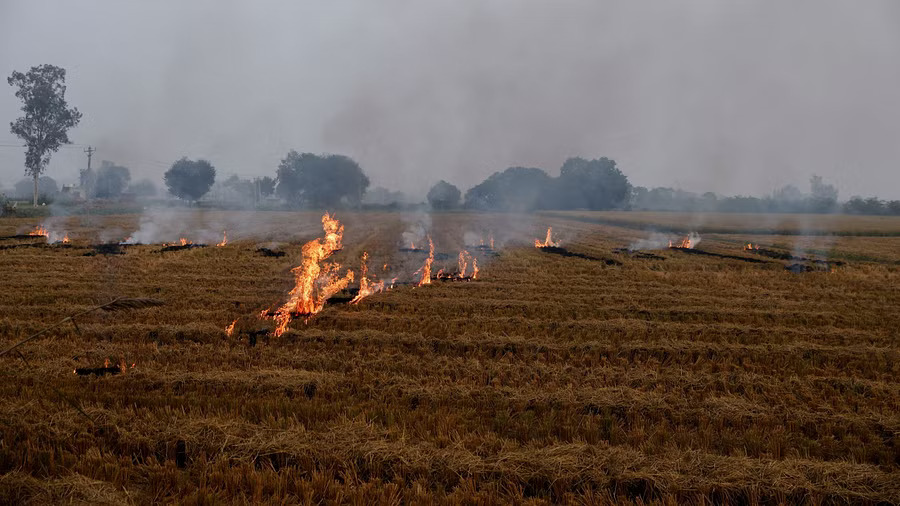 Don’t blame farmers for pollution They are victims too