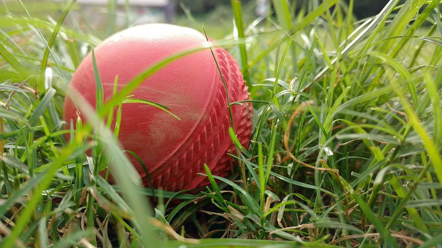 Man dies after being hit by ball on head during cricket match in Mumbai