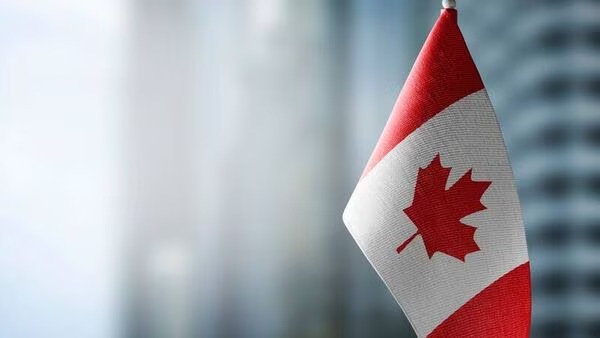 Canada admission scam How to protect yourself from immigration fraud
