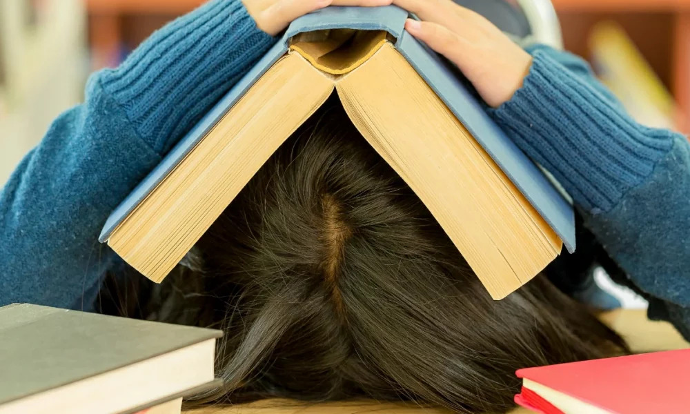 How to fix the international student debacle