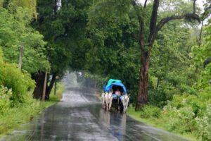 Monsoon