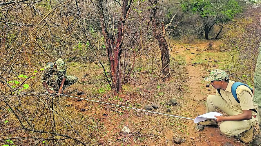 Deploy staff drone on MM Hills to prevent wildlife attack Karnataka Forest Minister Khandre