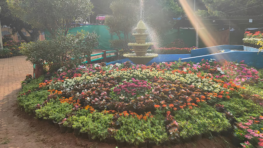 Floral replica of Vande Bharat to be highlight of Mangalurus Kadri Park flower show