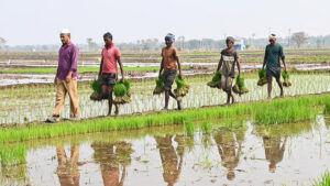 Karnataka Budget 2026 Krishi Vistara AI based Farmer Call Centre and Raitha Malls planned to boost agriculture