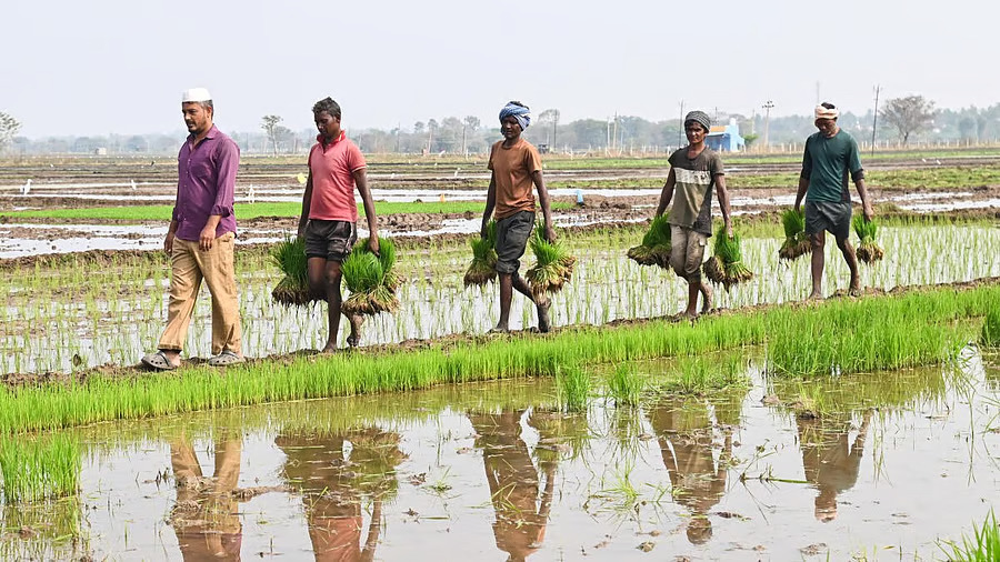 Karnataka Budget 2026 Krishi Vistara AI based Farmer Call Centre and Raitha Malls planned to boost agriculture