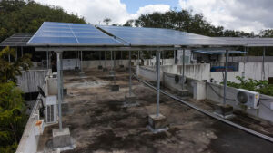 Solar push EV charging BESCOM plans for Bengaluru’s future power surge