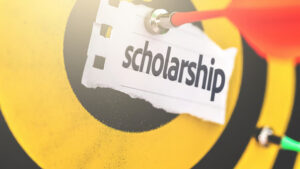 Study recommends pol quota scholarships for Nadaf Pinjaras in Karnataka (1)